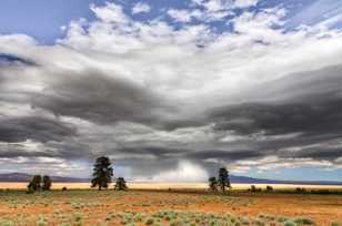 Honey Lake-5706.jpg